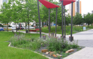 Ansicht Beetflächen und Pergola, Bauvorhaben Trattendorfer Straße in Dresden 2006