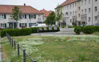 Heutiges Bild des Dresdner Brunnenplatzes mit Wappenbrunnen, Gehölz- und Wiesenflächen, Ausführung 2014