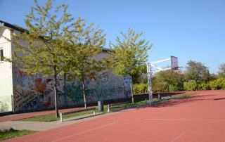 Heutiges Bild des begrünten Sitzbereiches mit Sporthalle im Hintergrund und Kunstoffplatz im Vordergrund, Sportanlage der 128. Mittelschule am Rudolf-Bergander-Ring in Dresden, Ausführung 2007