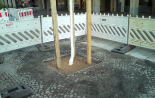 Baumpflanzung im innerstädtischen Bereich auf der Wilsdruffer Straße in Dresden 2012