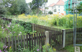 Das Bild zeigt eine Kleingartenanlage vor den Umbaumaßnahmen