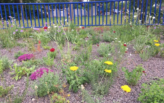 Bunte Beetbepflanzung aus Stauden und Blumenzwiebelpflanzen